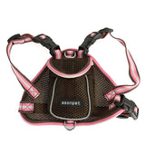 Pet traction school bag from backpack.