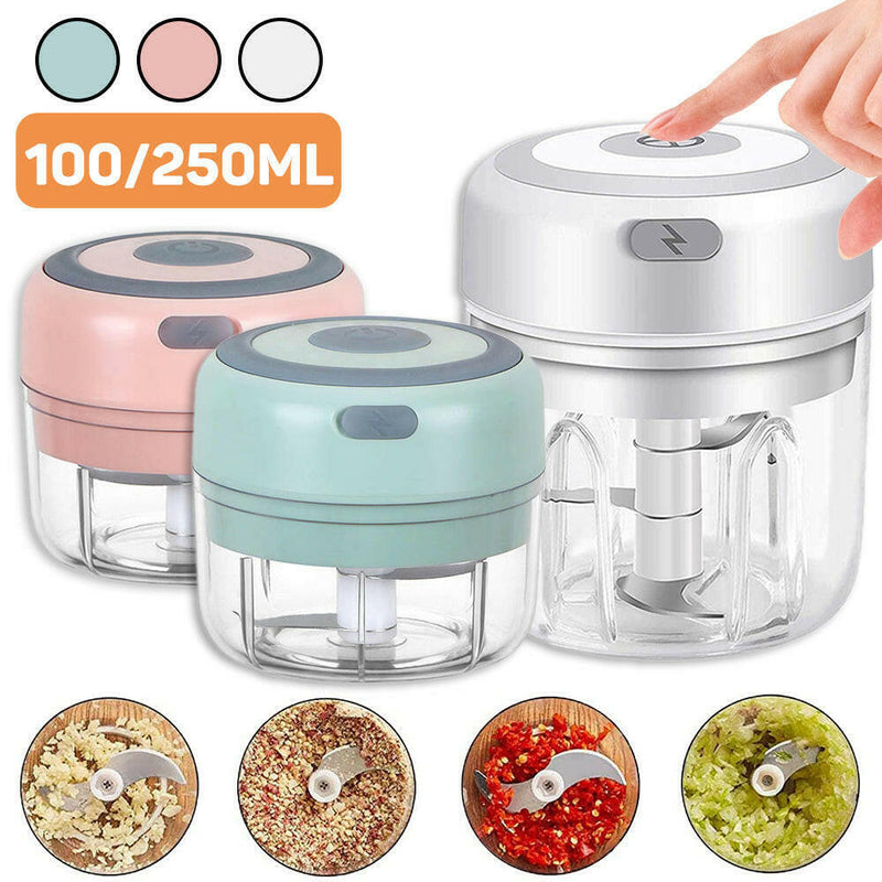 One Blue 30w Electric Food Chopper & Garlic Masher & Vegetable Cutter, Usb  Rechargeable Kitchen Appliance, 100ml