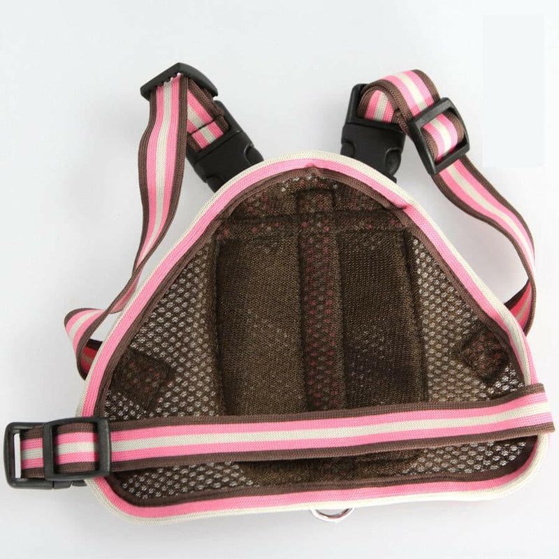 Pet traction school bag from backpack.